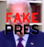 fake president