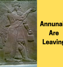 THE ANNUNAKI ARE LEAVING - HERE'S WHY