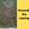 THE ANNUNAKI ARE LEAVING - HERE'S WHY